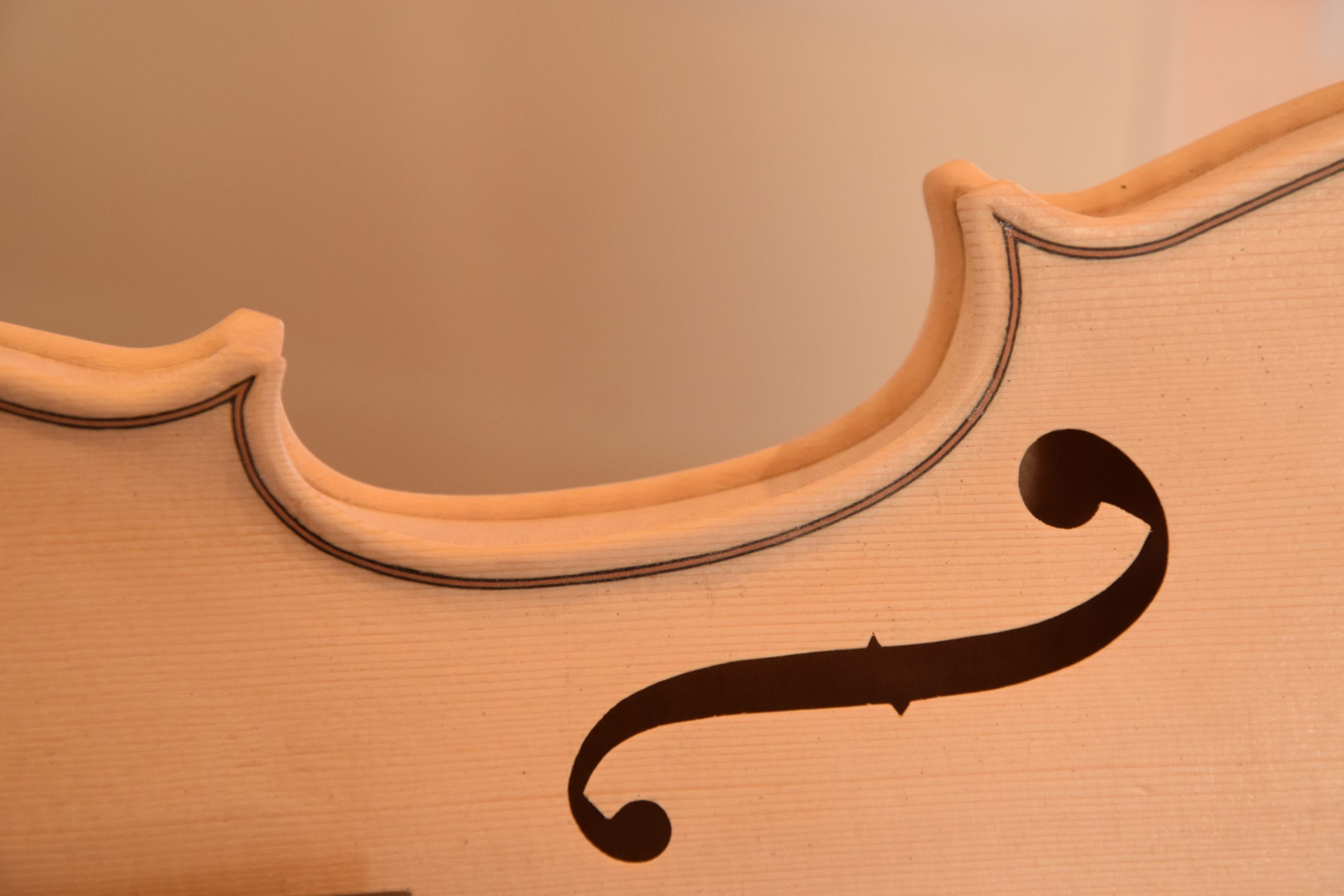 Violino handmade