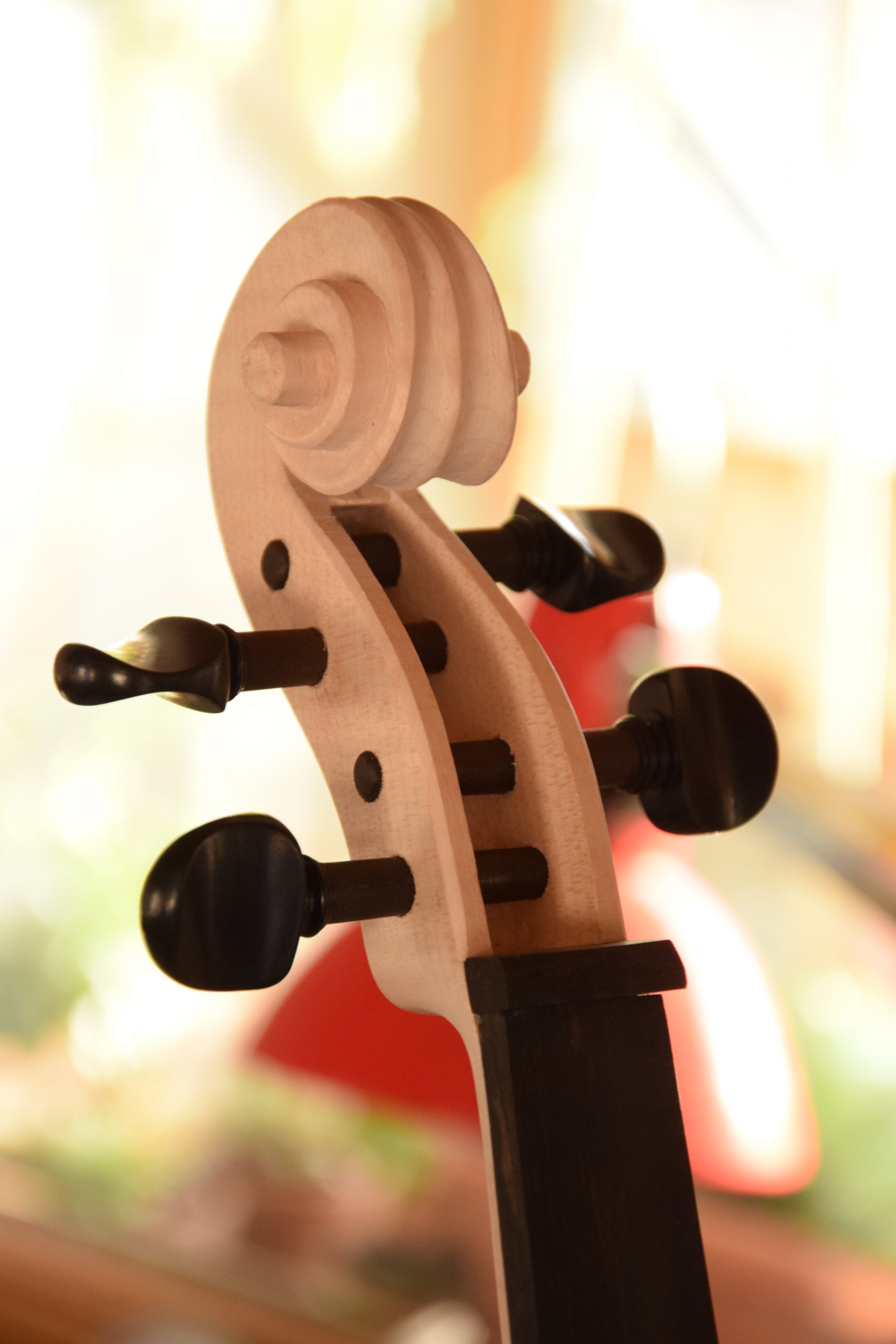 Violino handmade