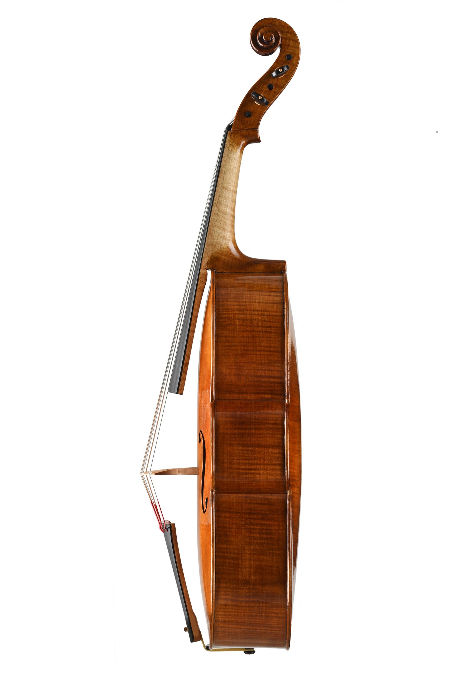 violoncello da spalla Alessandro Visintini