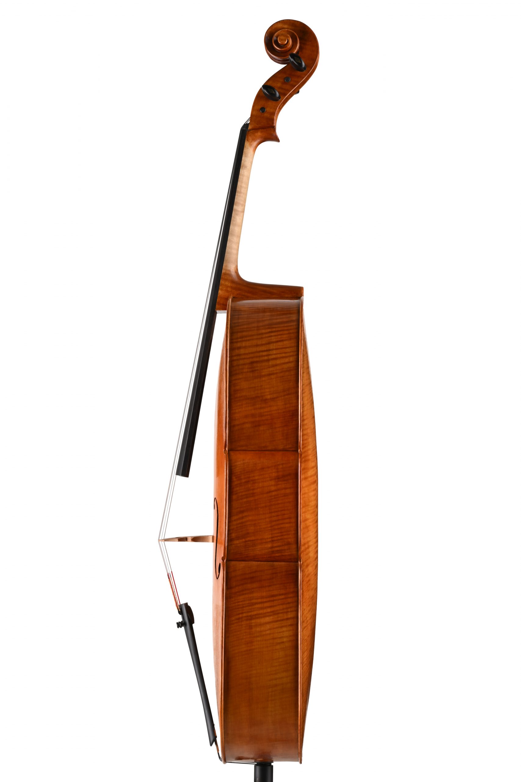 violoncello alessandro visintini Meltina Italy 