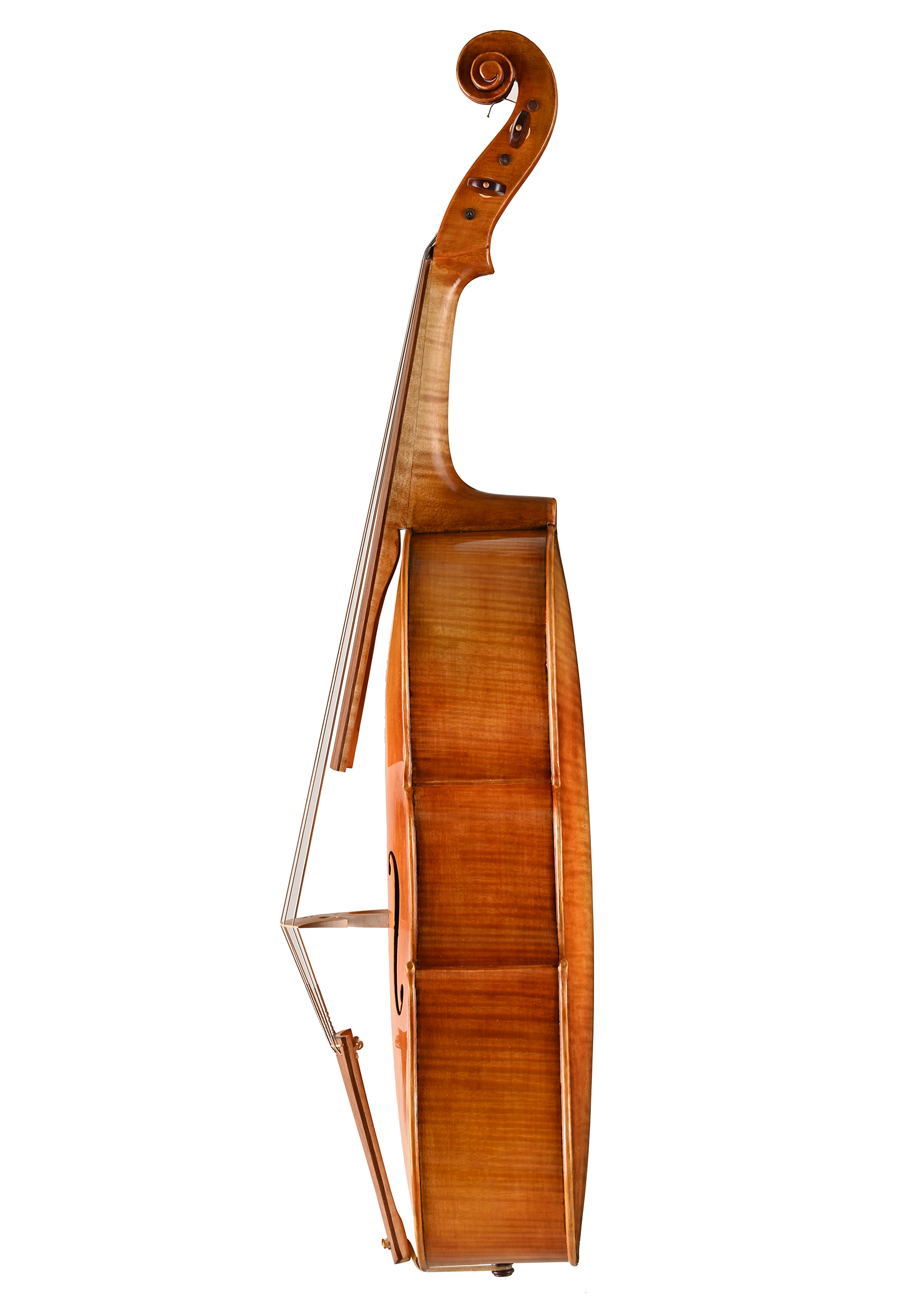 violoncello da spalla alessandro visintini Meltina Italy 